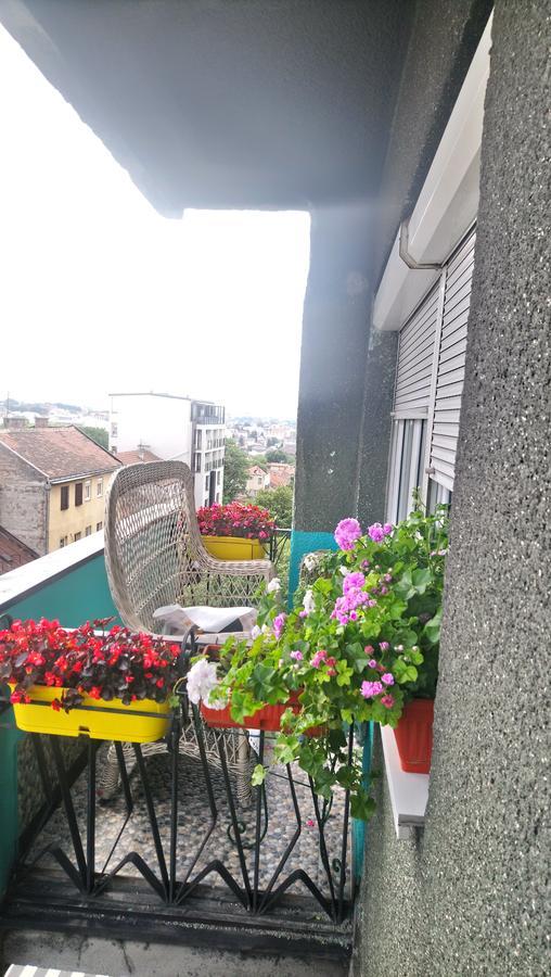 Garden Appartement Belgrado Buitenkant foto